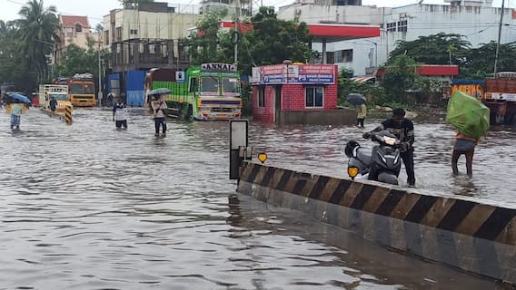 Chennai Rains: Trees Uprooted, Inundated Homes & Waterlogging. See Pics