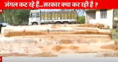 When will the govt take actions against the logging of woods? | Ghanti Bajao ( 2 Nov 2022 )