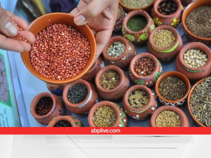 Indian Millets Park Central Government has proposed to the Zimbabwe Government to set up in Zimbabwe Millets Production: जिम्बाब्वे में उगेंगे भारत के मिलेट्स...केंद्र सरकार की इस पहल से देश का बढ़ेगा विश्व में रुतबा