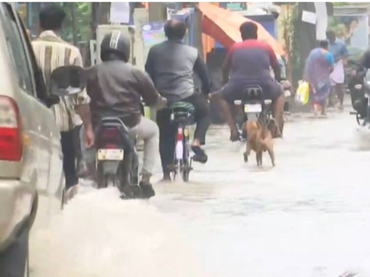 Chennai Rains: Record Downpour Leads To Inundation, Claims Two Lives