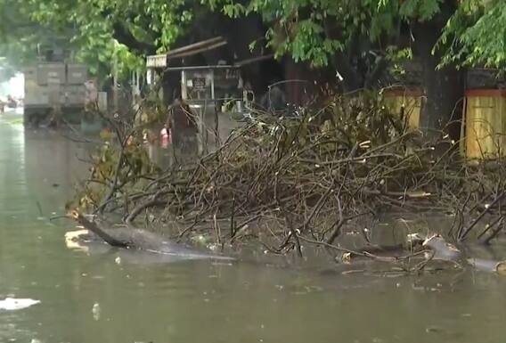 Some of the trees have also been uprooted and homes have been inundates especially in Perambur, Kolathur and Korattur areas | Credit: ANI