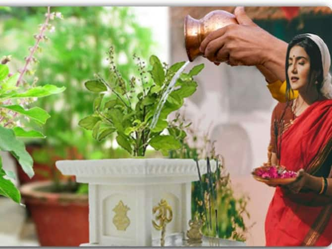 Tulsi Pujan Diwas आज तुलसी पूजन दिवस पर शुभ मुहूर्त में इस विधि से माँ