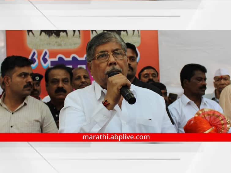 solapur Pandharpur chandrakant patil claim 45 seat in lok sabha election marathi news सायलेंट व्होटर मोदींच्या मागे, राज्यात 45 जागा नक्की जिंकणार, चंद्रकांत पाटलांचा दावा 