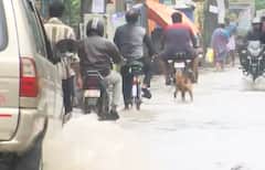 Chennai Rains: Homes Under Water, Waterlogging In Arterial Roads. See Pics