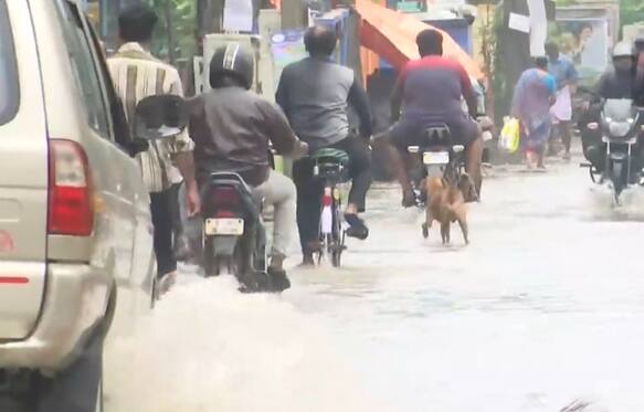 Many roads in Chennai are waterlogged despite the efforts of the officials to clear the issues | Credit: ANI