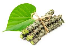 Health Tips: કોણે ન કરવું જોઈએ ગિલોયનું સેવન, સ્વાસ્થ્યને થાય છે ગંભીર