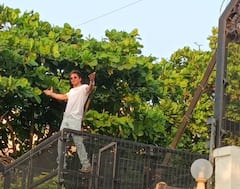 Shah Rukh Khan Birthday : किंग खान शाहरूखच्या वाढदिवसानिमित्त चाहत्यांची क्रेझ कायम; पाहा फोटो