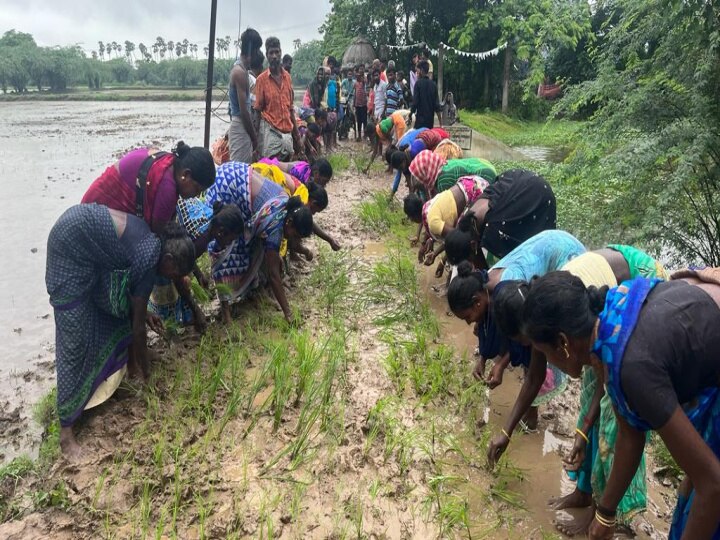 நாகையில் பழுதடைந்த சாலையில் நாற்றுநட்டு  கிராம மக்கள் நூதன போராட்டம்