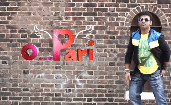 DSP Rockstar In Controversy: డీఎస్పీ పాటపై హిందూ సంఘాల అభ్యంతరం