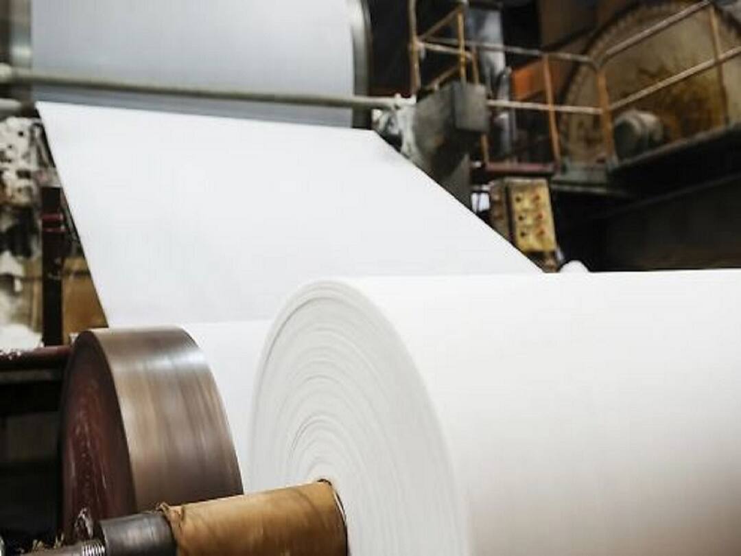 Paper Made From Tree How much paper Can Be made From Tree Know In Detail Paper Made From Tree: చెట్ల నుంచి కాగితం ఎలా తయారు చేస్తారో తెలుసా!