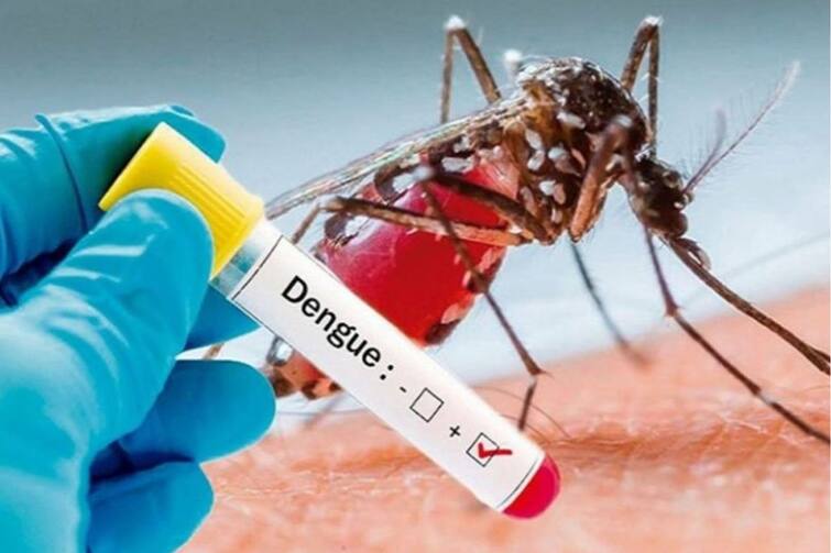 Uttar pradesh experiencing surge in vector borne disease 221 dengue cases record in last 24 hours ann UP Dengue Cases: यूपी में बढ़ रहे हैं डेंगू के मामले, 24 घंटे के दौरान 221 नए केस किए गए दर्ज