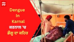 Dengue In Karnal : ਕਰਨਾਲ 'ਚ ਡੇਂਗੂ ਦਾ ਕਹਿਰ