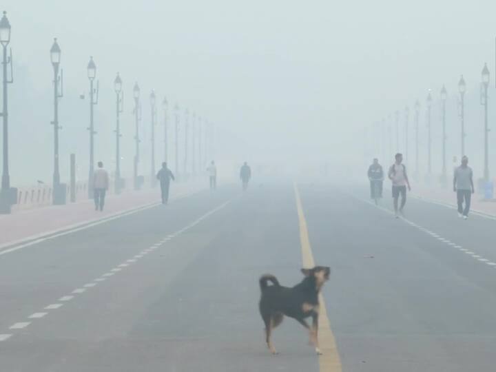 North Delhi Air Quality was the poorest with most stations recording AQI above 400.