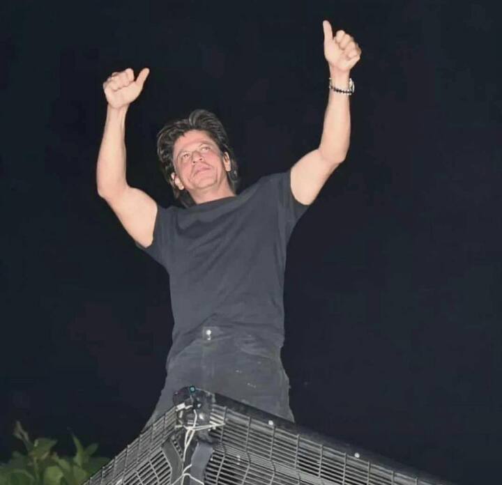 Shah Rukh Khan Movies: কিং খানের বর্ণময় কেরিয়ারের অসংখ্য ফিল্মের মধ্যে থেকেই চোখ রাখা যাক এমন কিছু ফিল্মে যা সিনেদুনিয়ায় লেজেন্ড তকমা পেয়েছে।