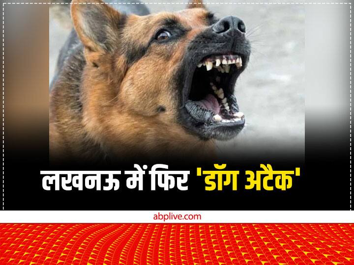 up news lucknow two dogs attacked woman who went out for morning walk, case registered ann Lucknow News: लखनऊ में मॉर्निंग वॉक के लिए निकली महिला पर दो कुत्तों का हमला, हाथ-पैर पर आए 14 टांके, केस दर्ज