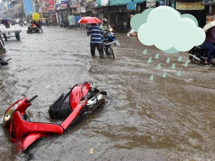 Tamil Nadu Rain: சென்னை உள்பட தமிழகத்தின் பல்வேறு பகுதிகளில் கனமழை கொட்டித்தீர்த்து வருகிறது. அதையொட்டி வைரலாகும் புகைப்படங்களை இங்கே காணலாம்.