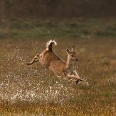 November Destinations : শীতের আমেজ গায়ে মেখে ঘুরতে ইচ্ছা করছে ? যেতে পারেন এই জায়গাগুলি