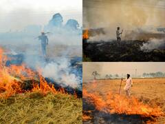 पराली जलाने के मामले में पंजाब टॉप पर, 5 दिनों में 9810 घटनाएं दर्ज, रिसर्च में सामने आया कड़वा सच