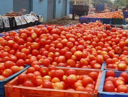 टोमॅटोचे दर 25 ते 30 रुपयांवर आले आहेत