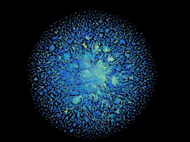 Meta Creates Model That Predicts Protein Folding Metagenomic Proteins Fast Pace 60 Times Faster 3D Structure All You Need To Know About First View Of Dark Matter Of Protein Universe ESM Metagenomic Atlas Meta Creates Protein Structure-Prediction Model That Can Help Find New Treatments: All You Need To Know