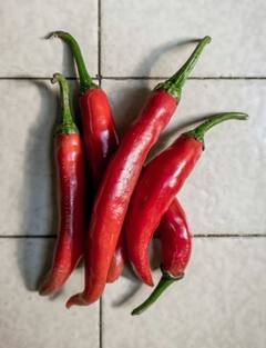 Photo : नंदूरबार बाजार समितीत लाल मिरचीच्या दरात विक्रमी वाढ