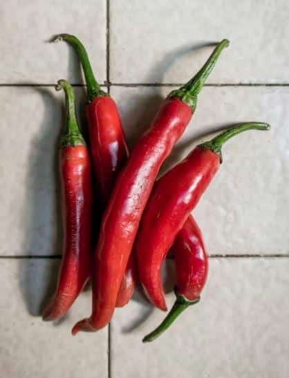 नंदूरबार बाजार समितीत  लाल मिरचीला सध्या सहा हजार रुपयापासून 12 हजार रुपयापर्यंतचा दर मिळत आहे.