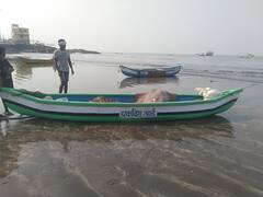 Bhayandar: उत्तन समुद्र किनाऱ्यावर आढळला तब्बल 100 किलो वजनाचा ‘पाकट’मासा ;  पाहा फोटो