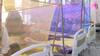 Dengue infection tally crosses 2000-mark in Delhi, over 1200 cases in October