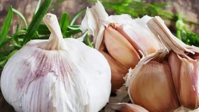 Health tips lahsun ke chilke ke fayde surprising health and beauty benefits of garlic peels Benefits Of Garlic Peel:સ્વાસ્થ્ય જ નહિ પરંતુ ખૂબસૂરતીના ગુણોનો પણ ખજાનો છે લસણના ફોતરા, આ રીતે કરો તેનો ઉપયોગ
