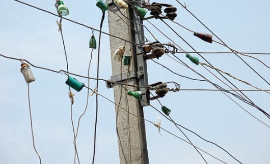 power distribution company announce Reward for giving information about electricity theft in MP MP News: मध्य प्रदेश में बिजली चोरी की सूचना देने पर मिलेगा इनाम, जानें सूचना देने वाले का नाम गुप्त रहेगा या नहीं