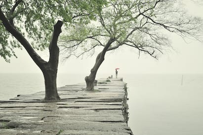 Rain health Tips: மழை காலத்தில் உடல்நலத்தில் கவனத்துடன் இருக்க வேண்டும்; எதை செய்ய கூடாது தெரியுமா?