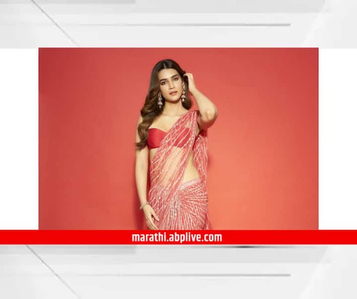 क्रिती सेनन या फोटोंमध्ये नेटच्या शिमरी साडीमध्ये ग्लॅमरस दिसत आहे.