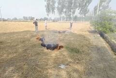 ਸਪੀਕਰ ਕੁਲਤਾਰ ਸੰਧਵਾ ਦੇ ਜੱਦੀ ਪਿੰਡ ਦੇ ਕਿਸਾਨ ਸਰਕਾਰ ਦੀ ਅਪੀਲ ਦੇ ਬਾਵਜੂਦ ਸਾੜ ਰਹੇ ਨੇ ਖੇਤਾਂ 'ਚ ਪਰਾਲੀ