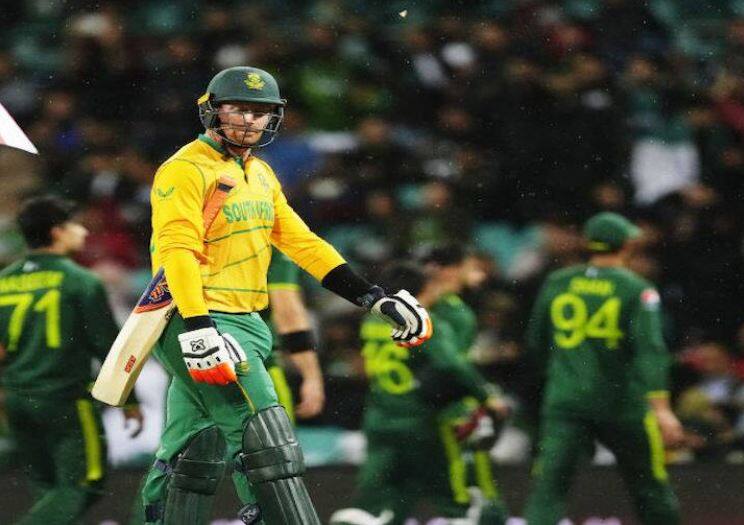 T20 World Cup 2022 Pakistan won the match by 33 runs DLS Method against South Africa match 36 SCG Stadium PAK vs SA:  ਪਾਕਿਸਤਾਨ ਨੇ ਦੱਖਣੀ ਅਫਰੀਕਾ ਨੂੰ 33 ਦੌੜਾਂ ਨਾਲ ਦਿੱਤੀ ਮਾਤ, ਸ਼ਾਦਾਬ ਖ਼ਾਨ ਬਣੇ ਜਿੱਤ ਦੇ ਹੀਰੋ