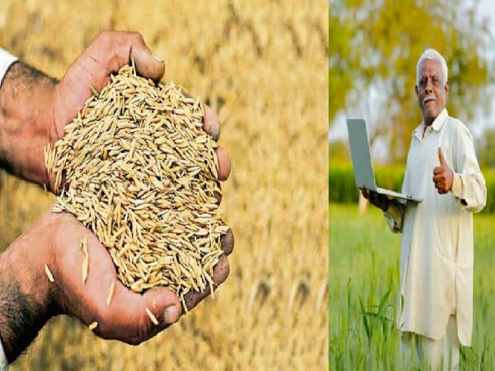11778 from Mandi in Chhattisgarh, 861 farmers sold paddy by taking tokens from Token Tuhar Hath App Paddy Procurement: ऑनलाइन मोड पर दिलचस्पी कम, छत्तीसगढ़ में मंडी से 11778, टोकन तुंहर हाथ एप से 861 किसानों ने टोकन लेकर बेचा धान