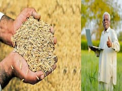 यूपी में बेचना है धान तो इन बातों का रखें खास ध्यान, 48 घंटे के अंदर मिल जाएगा भुगतान