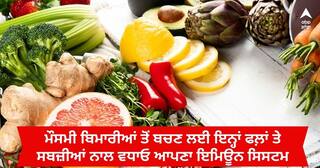 Nutrition Diet : ਮੌਸਮੀ ਬਿਮਾਰੀਆਂ ਤੋਂ ਬਚਣ ਲਈ ਇਨ੍ਹਾਂ ਫਲ਼ਾਂ ਤੇ ਸਬਜ਼ੀਆਂ ਨਾਲ ਵਧਾਓ ਆਪਣਾ ਇਮਿਊਨ ਸਿਸਟਮ, ਦਵਾਈ ਦੀ ਨਹੀਂ ਪਵੇਗੀ ਲੋੜ