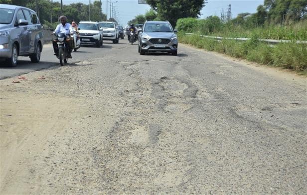 maharashtra news nashik news Potholes on Nashik-Mumbai highway in High Court Nashik-Mumbai Highway : नाशिक-मुंबई महामार्गावरील खड्डे उच्च न्यायालयात, सिटिझन्स फोरमकडून अंतरीम अर्ज 