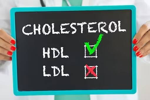 ਜੇਕਰ ਕੋਲੈਸਟ੍ਰੋਲ ਕੰਟਰੋਲ 'ਚ ਹੋਵੇ ਤਾਂ ਇਹ ਸਰੀਰ ਲਈ ਫਾਇਦੇਮੰਦ ਹੋ ਸਕਦਾ ਹੈ। ਪਰ ਜੇਕਰ ਇਹ ਬੇਕਾਬੂ ਢੰਗ ਨਾਲ ਬਣਨਾ ਸ਼ੁਰੂ ਹੋ ਜਾਵੇ ਤਾਂ ਇਹ ਨੁਕਸਾਨ ਦਾ ਕਾਰਨ ਬਣਦਾ ਹੈ। ਕੋਲੈਸਟ੍ਰੋਲ ਦੀਆਂ ਦੋ ਕਿਸਮਾਂ ਹਨ।