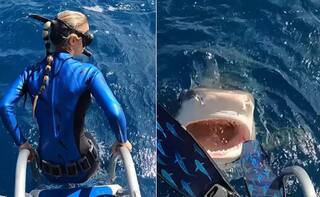 Shocking Video: ਸਮੁੰਦਰ 'ਚ ਉਤਰ ਰਹੀ ਔਰਤ 'ਤੇ ਅਚਾਨਕ ਭੁੱਖੀ ਸ਼ਾਰਕ ਨੇ ਕੀਤਾ ਹਮਲਾ, ਵੀਡਿਓ ਵਾਇਰਲ