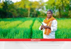 नवंबर में ही निपटा लें इन 5 फसलों की बुवाई! टाइम पर मिलेगा उत्पादन, होगी बंपर कमाई