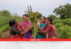 मोटे अनाज से संवर रही है आदिवासी महिलाओं की जिंदगी, 3 साल में हुई 1 करोड़ से अधिक की आमदनी