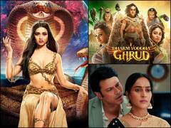 TRP के चक्कर में बंद होंगे ये टीवी शोज, 'नागिन 6' सहित इन सीरियल्स का नाम जानकर आप शॉक्ड हो जाएंगे