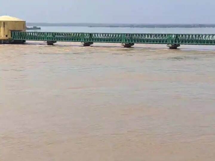 Morena district Chambal River water will be used to quench thirst lakhs of people ANN Morena News: मुरैना के लाखों लोगों की प्यास बुझाएगा चंबल का पानी, वैज्ञानिकों ने कहा- साल 2050 तक नहीं होगा जल जीवों को नुकसान