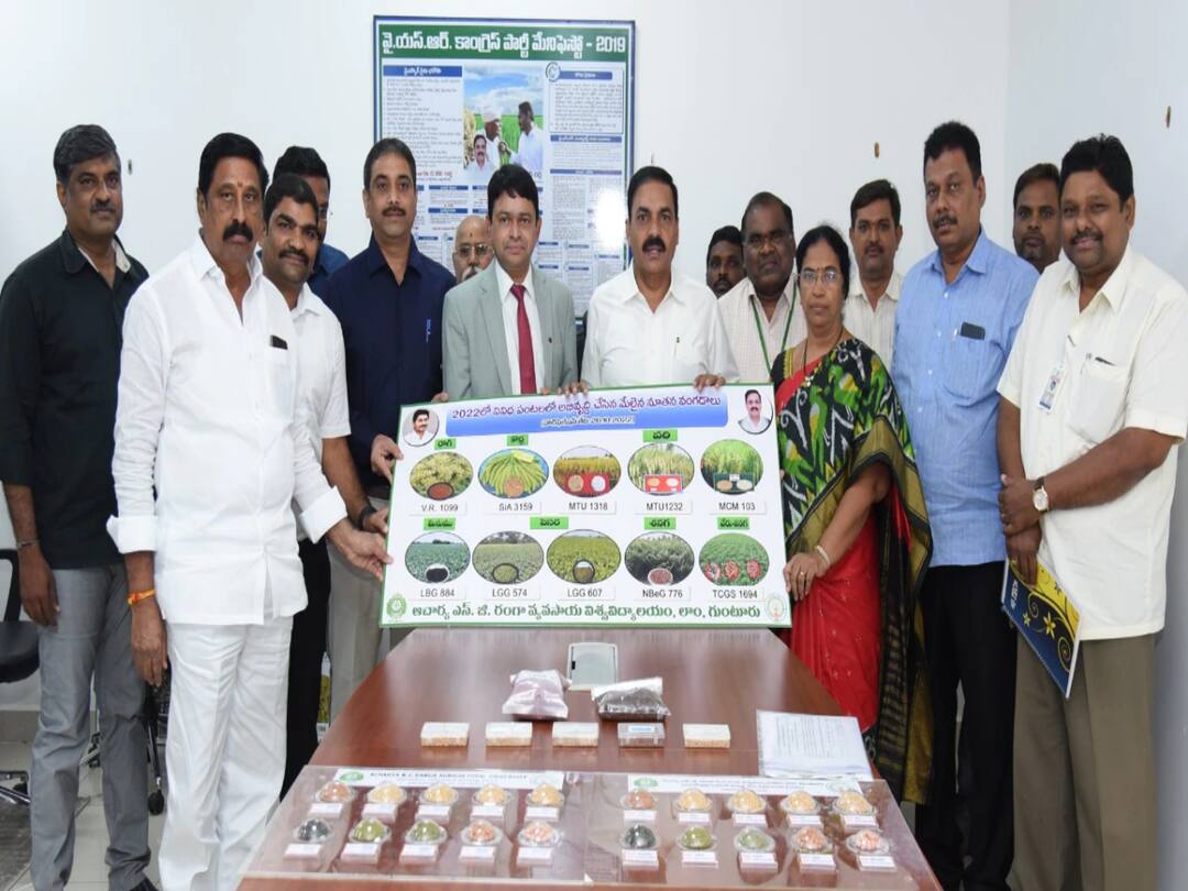 Amaravati Minister Kakani Govardhan reddy released 17 new seeds available in Rythu bharosa centers DNN Minister Kakani Govardhan Reddy : 17 నూతన వంగడాలని ఆవిష్కరించిన మంత్రి కాకాణి, త్వరలో రైతు భరోసా కేంద్రాల్లో అందుబాటులోకి!