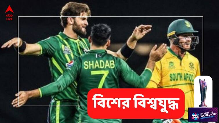 T20 World Cup 2022: Pakistan won the match by 33 runs DLS Method against South Africa match 33 SCG Stadium T20 WC, Pak vs SA: বৃষ্টিবিঘ্নিত ম্যাচে প্রােটিয়াদের ৩৩ রানে হারিয়ে দিল পাকিস্তান