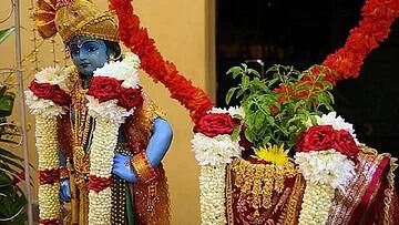 Tulsi Vivah 2022 : તુલસી વિવાહના દિવસે કેટલાક ઉપાય કરવાથી ઇચ્છિત જીવન સાથી પ્રાપ્ત થઇ શકે છે. જાણીએ ક્યાં ઉપાય કરી શકાય
