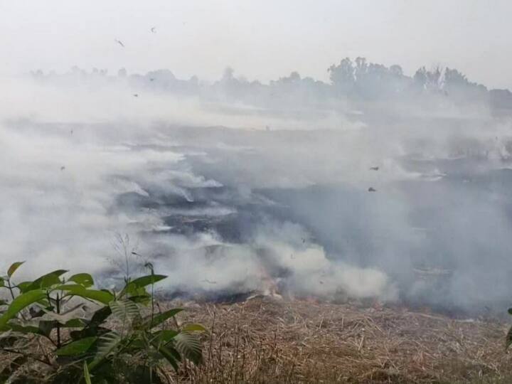 Haryana Parali More than Rs 4 lakh fine collected from farmers for burn parali in Karnal Haryana: करनाल में पराली जलाने का काम जारी, किसानों से वसूला गया 4 लाख रुपये से ज्यादा का जुर्माना
