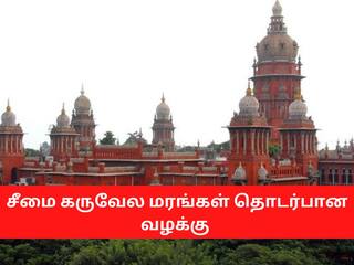 Chennai Highcourt orders Tamil nadu government to plant new saplings சீமைக்கருவேல மரங்களுக்கு இணையாக நாட்டு மரங்களை நட வேண்டும் - சென்னை உயர் நீதிமன்றம்