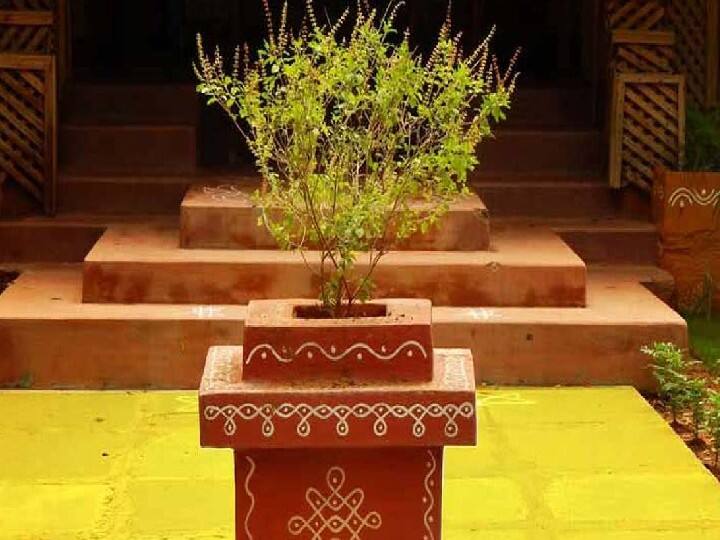 मन को शांत करने के लिए तुलसी की जड़ की माला को गले में धारण कर लें. आप चाहें तो इसे बाजार से भी खरीद सकते हैं.